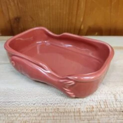 Jose Gourmet Conservas Ceramic