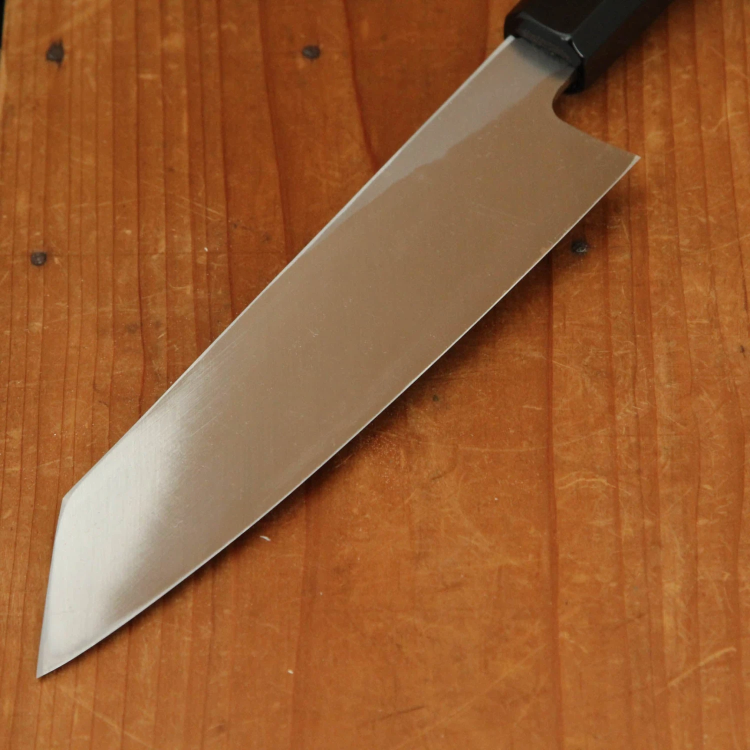 Hatsukokoro Shirasagi 180mm Kiritsuke Gyuto Single Bevel Shirogami 2 Angled Wenge - Image 4