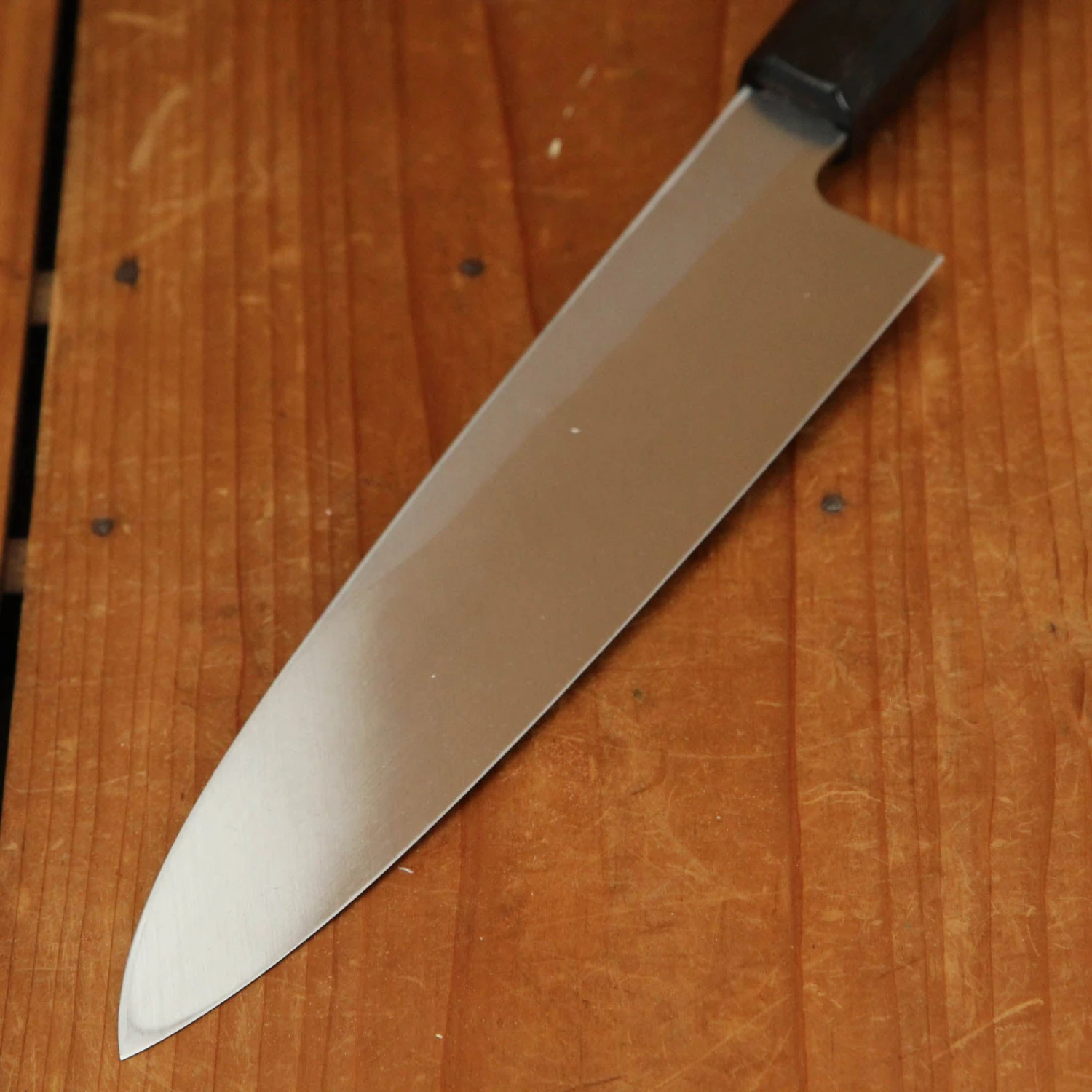 Hatsukokoro Shirasagi 210mm Gyuto Single Bevel Shirogami 2 Angled Wenge - Image 3