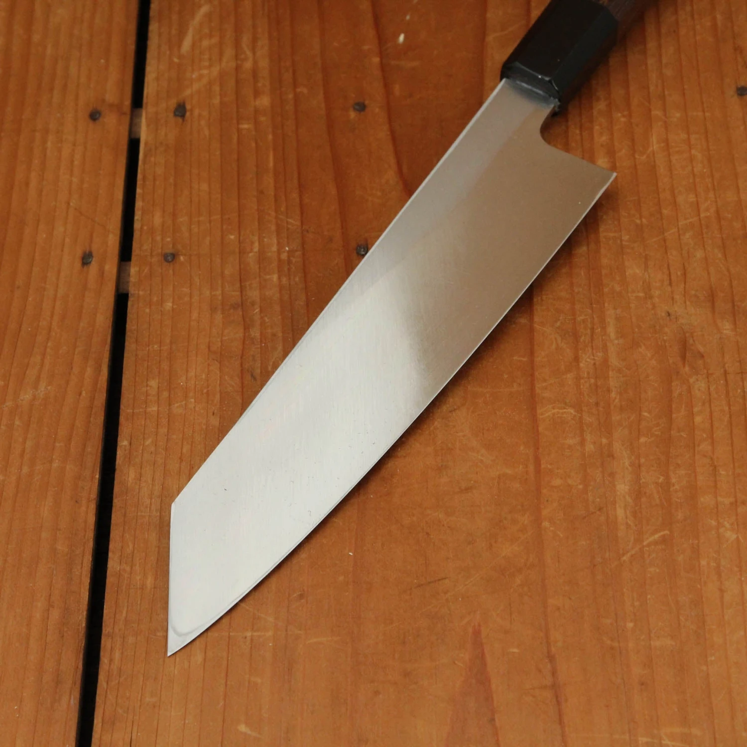 Hatsukokoro Shirasagi 210mm Kiritsuke Gyuto Single Bevel Shirogami 2 Angled Wenge - Image 5