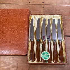 Vintage Eichenlaub Fruit / Dessert Knife Set Stainless & Butterscotch Solingen Germany~1950's 60's In Box W Tag