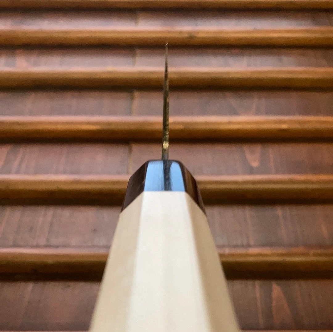 Tosa Tadayoshi X Bernal Cutlery 250mm Gyuto Aogami 1 Stainless Clad Oct Ho/Horn - Image 8