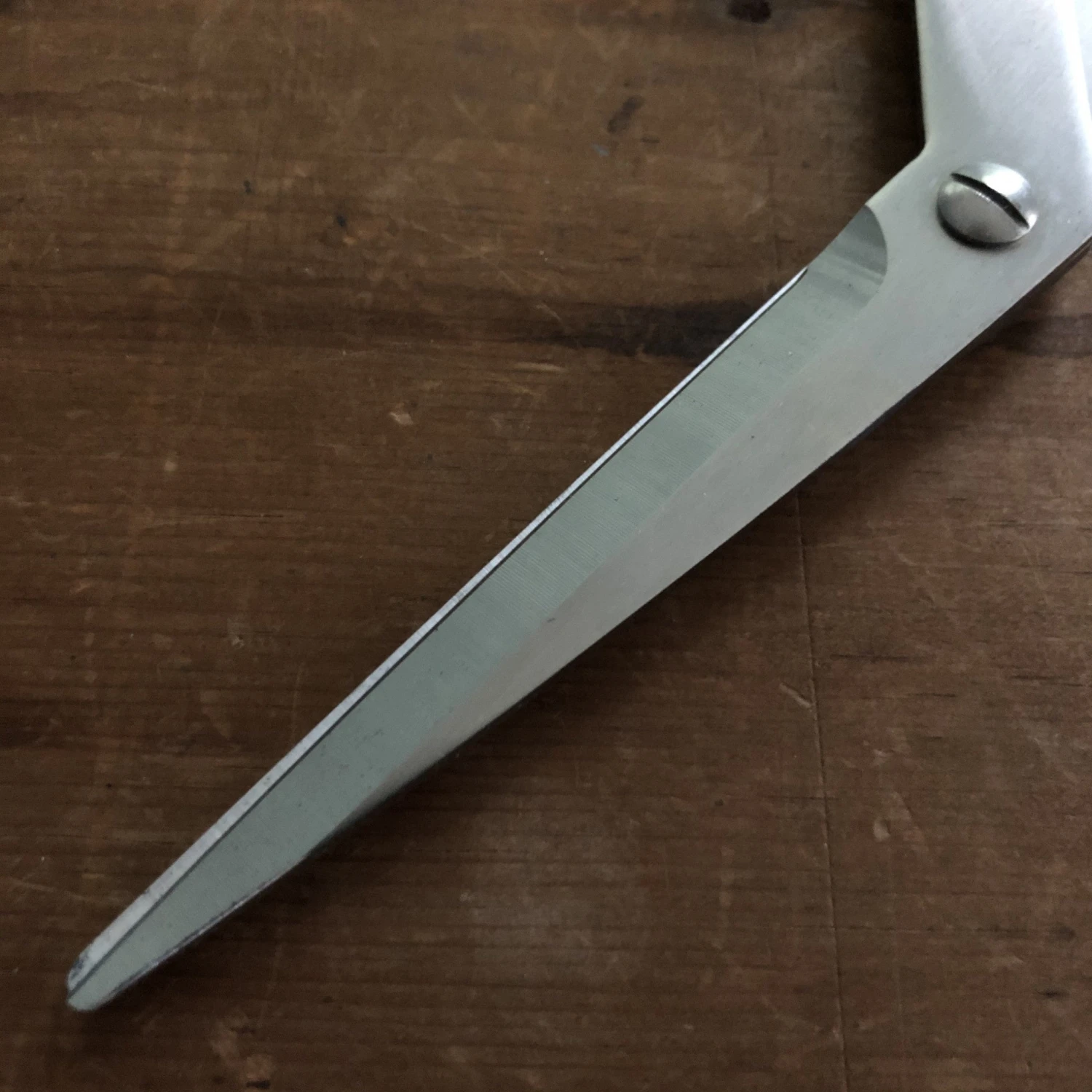 Silky 210mm Tailor Shears Stainless - Image 2